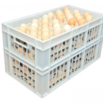 Ящик пластиковий 660х360х366 кольоровий втор.