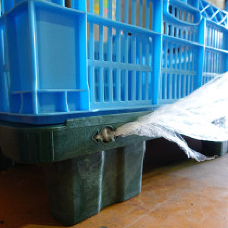 Палета полімерна зелена 1200х800х140